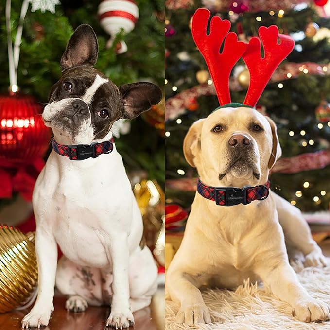 ARING PET Christmas Dog Collar, Cute Red Green Black Purple Plaid Pet Collars with Quick Release Buckle for Puppy Small Medium Large Boy Girl Dogs-XS