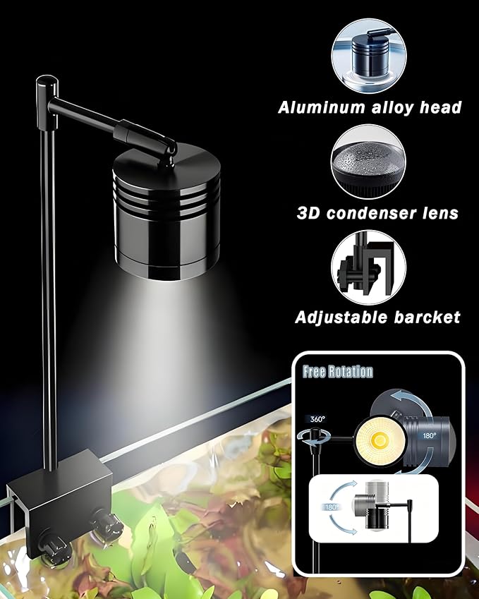 iPriro Fish Tank, 3 Gallon Ultra-Clear Glass Fish Aquarium, with Separator Plate for Betta, Fish Tank Starter kit with Filter and Adjustable Led Light, White