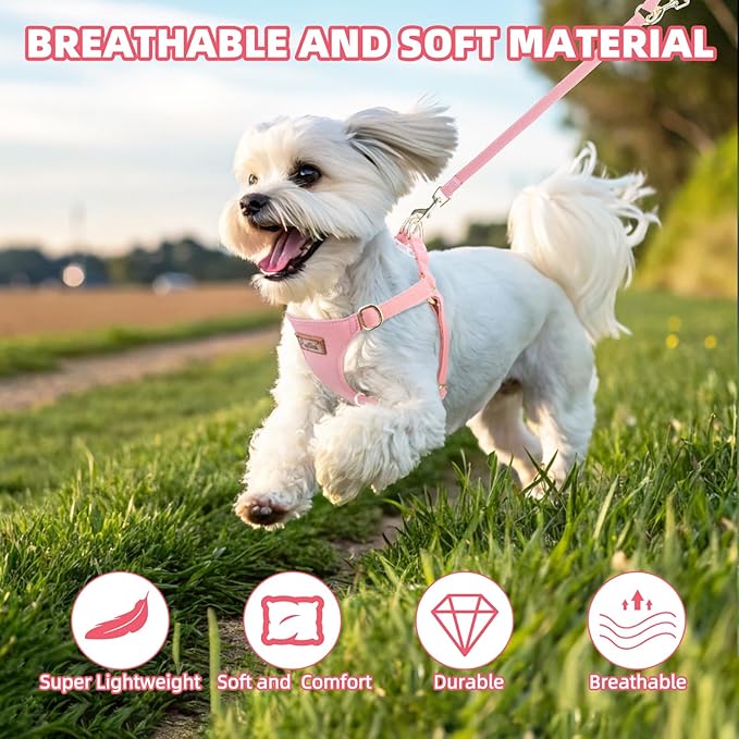 PUPTECK Dog Harness and Leash Set Small Sized, Step-in Cute Puppy Harness, Soft Lightweight Padded Vest, Escape Proof No Pull Pet Harnesses Easy for Walking, Pink, S
