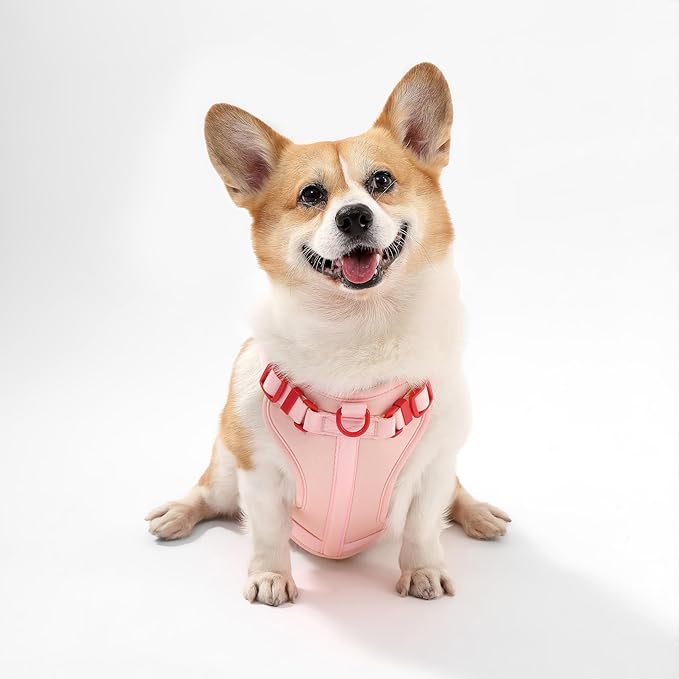 HNS1002G Arlo Medium Adjustable Soft Padded No Pull Pet Harness with 3 Buckles and 3 Leash Clips, Paloma