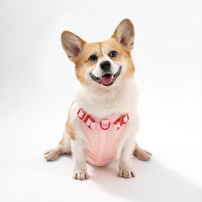 HNS1002G Arlo Medium Adjustable Soft Padded No Pull Pet Harness with 3 Buckles and 3 Leash Clips, Paloma