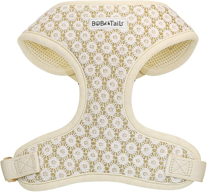 Floral Brilliance Dog Harness with D-Ring Leash Clip Set – Adjustable No-Pull Harness for Tiny Toys XX Small Size Dogs Chihuahua, Pomeranian, and Yorkshire Terrier (Gold, XXS)