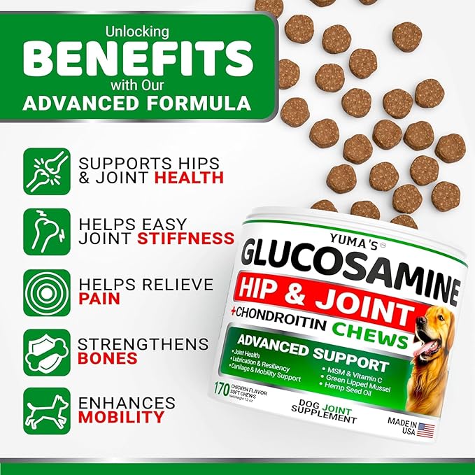 (2 Pack) Glucosamine for Dogs - Hip and Joint Supplement for Dogs - Glucosamine Chondroitin Chews - Joint Pain Relief Supplement with MSM - Advanced Health - Mobility Support - Made in USA