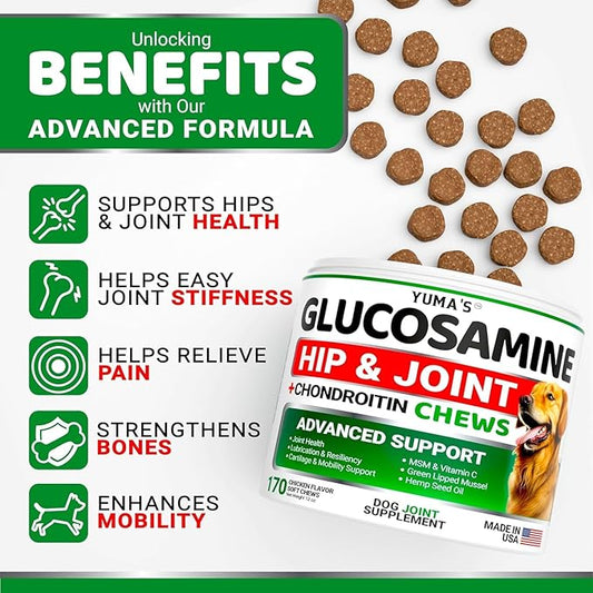 (2 Pack) Glucosamine for Dogs - Hip and Joint Supplement for Dogs - Glucosamine Chondroitin Chews - Joint Pain Relief Supplement with MSM - Advanced Health - Mobility Support - Made in USA