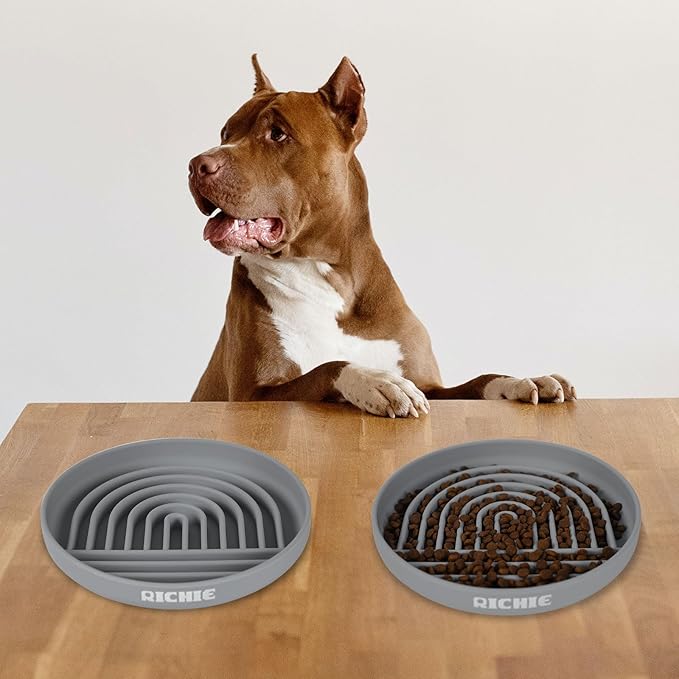 Slow Feeder Dog Bowls with Suction Cups, Silicone Puzzle Bowl for Slow Eating, Pets Slow Feeder Non-Slip Design Dishwasher Microwave Safe for Small Medium Dogs, Grey