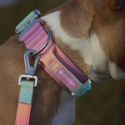 Tactical Dog Collar with Handle - Premium Quality Collar, Robust and Durable Design for Large, Strong Breeds - Pitbulls, Labradors, GSD - Pastel Icing - L - 1.5"