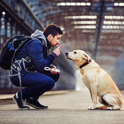 Dog Training Clickers and Whistle in One, Consistent Positive Reinforcement for Puppies, Fix Undesired Behaviors, Pet Training Clicker for Dog Cats Puppy Birds Horses, 2-Pack(White + Black)