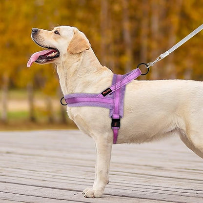 Didog Soft Flannel Padded Dog Vest Harness, No Pull/Quick Fit Reflective Dog Strap Harness, Easy for Training Walking (XS:Chest 15-18", Purple)