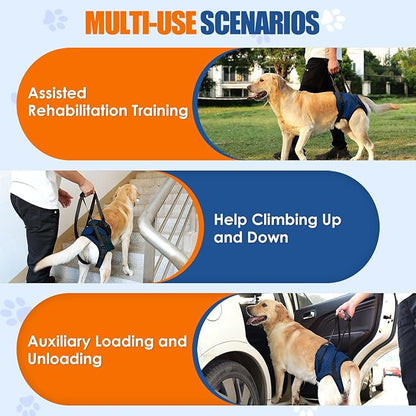 SlowTon Dog Lift Harness - Adjustable Dog Sling for Medium Large Dogs, Hind Leg Support to Help Rehabilitate, Soft Padded Dog Support Harness for Elderly, Injured, Arthritic, Disabled Dogs(BL,S)