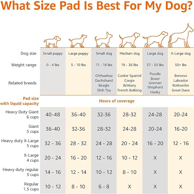 Amazon Basics Basic Disposable Dog Training Pads,XL, 15 Pack