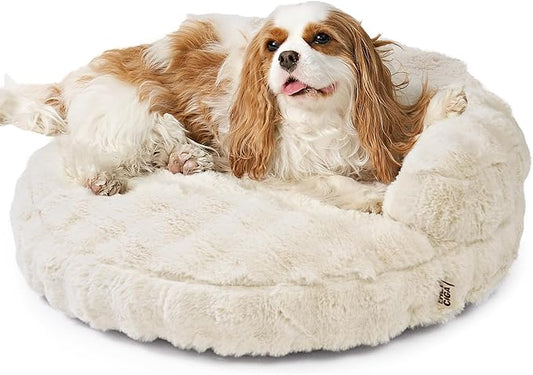 EHEYCIGA Small Dog Bed and Cat Couch for Puppy and Kitten - Fluffy Faux Rabbit Fur Pet Sofa with Washable Removable Cover, Waterproof and Non-Slip, 23 Inch Cream