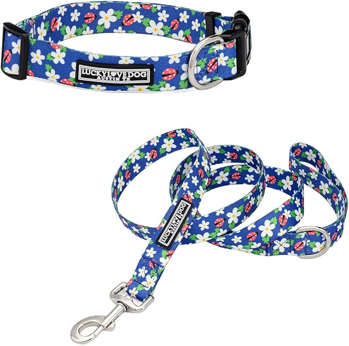 Lucky Love Dog - Easy Click Buckle Dog Collar with Leash Set Combo, Durable & Comfortable for Male & Female Dogs, Pet Collar for Small to Large Dogs, Secure Fit - Lilian Combo, XS