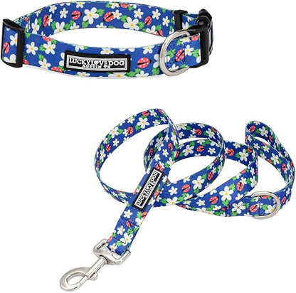 Lucky Love Dog - Easy Click Buckle Dog Collar with Leash Set Combo, Durable & Comfortable for Male & Female Dogs, Pet Collar for Small to Large Dogs, Secure Fit - Lilian Combo, XS