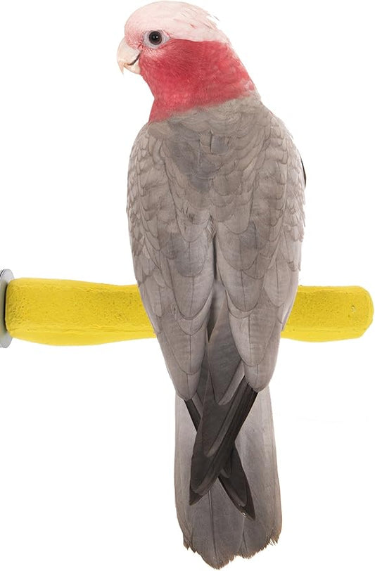 Sweet Feet and Beak Comfort Grip Safety Perch for Bird Cages - Pedicure Perch for Birds to Keep Nails and Beaks in Top Condition - Safe Easy to Install Bird Cage Accessories - M 8.5"