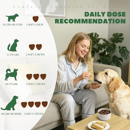 Dog Allergy Chews, 400PCS Dog Itching Skin Relief with Probiotics Omega 3, Allergy Relief for Dogs Itching Licking Paws, Support Seasonal Allergy, Gut & Digestive Health and Immune System