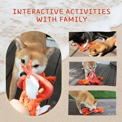 Pawfoo Lab Large Squeaky Dog Toys, Rope Tug of War Dog Toys for Puppy, Small, Medium, Large Dogs, Interactive Stuffed Lobster Plush Toys