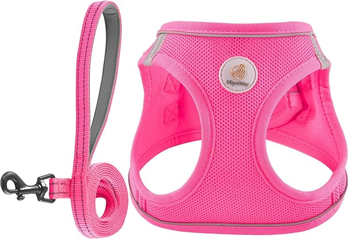 Hipubby Dog Harness and Leash Set, No Pull Soft Mesh Puppy Harness for Small Medium Dogs, Cats - Step in Reflective Breathable Lightweight Vest Harness for Walking, Training - Rose Red, S