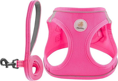 Hipubby Dog Harness and Leash Set, No Pull Soft Mesh Puppy Harness for Small Medium Dogs, Cats - Step in Reflective Breathable Lightweight Vest Harness for Walking, Training - Rose Red, S