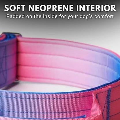 Spark Paws Tactical Dog Collar with Handle - Premium Quality Collar, Robust and Durable Design for Large, Strong Breeds - Pitbulls, Labradors, GSD - Snow Cone - S - 1.5"