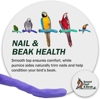 Sweet Feet & Beak Safety Pumice Bird Perch, X-Small 1/2" X 6", Purple - Lightweight Grinding Bird Perches for Cage - Bird Nail Trimming Perch for Healthy Beak & Feet - Multi-Size & Color Parrot Stand