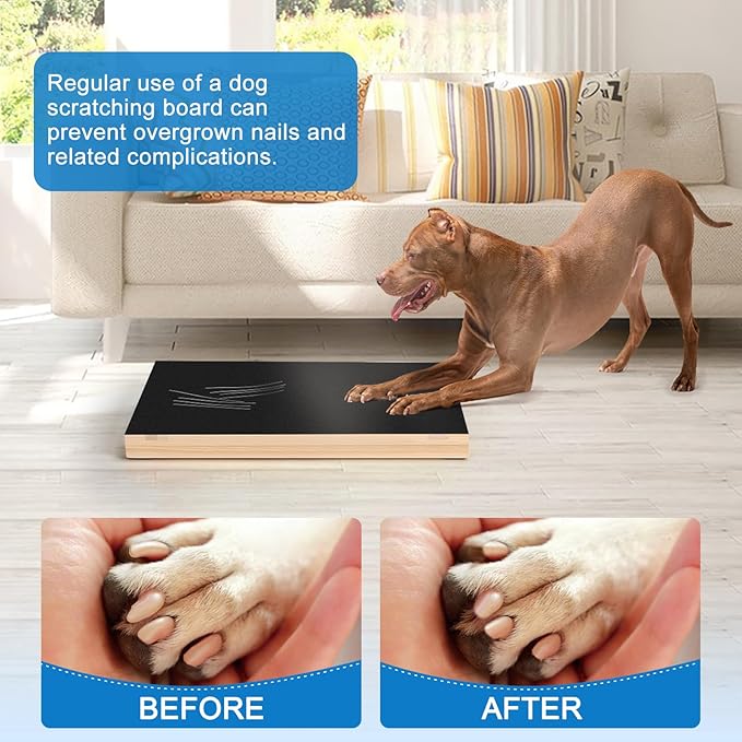 Dog Nail Scratch Pad with Sandpaper Filing Replacement Sandpapers Included and Non-Slip Pad, Scratch Board Trimming Tool Alternative to Dog Nail Clippers and Grinders (Without Treat Box)