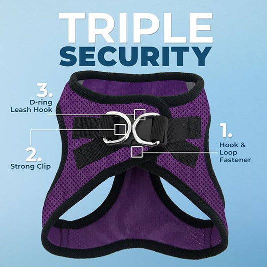 Voyager Step-in Air All Weather Mesh Harness and Reflective Dog 5 ft Leash Combo with Neoprene Handle, for Small, Medium and Large Breed Puppies by Best Pet Supplies - Purple/Black Trim, XXX-Small