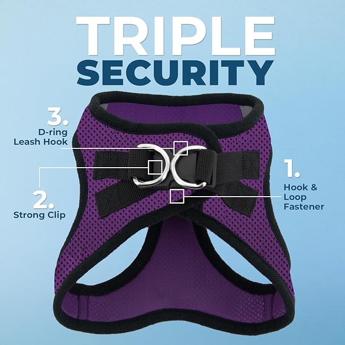 Voyager Step-in Air All Weather Mesh Harness and Reflective Dog 5 ft Leash Combo with Neoprene Handle, for Small, Medium and Large Breed Puppies by Best Pet Supplies - Purple/Black Trim, Medium