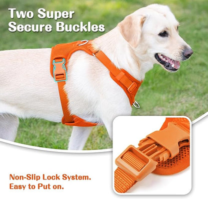 No Pull Dog Harness for Small Medium Large Dogs - Adjustable 2 Layer Mesh Dog Vest with Dual Clip, Escape Proof, Quick Release, Lightweight Breathable Mesh for Walking Hiking (Orange,M)