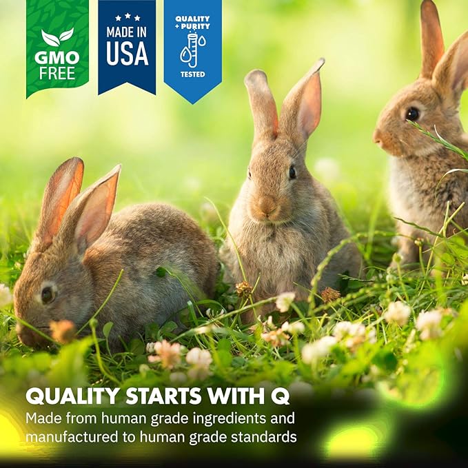 Equa Holistics HealthyGut™ Probiotics for Rabbits Dietary Supplement, All-Natural Digestive System Formula (600 Servings)