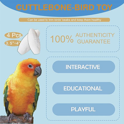 Jmxu's 3.5"-4" Cuttlebone for Birds Parakeets, Cuddle Bone with Metal Clip, Cuttlefish Bone for Sharp Beaks, Natural Birds Calcium for Parrots Cockatiels Tortoises, 4 Pcs