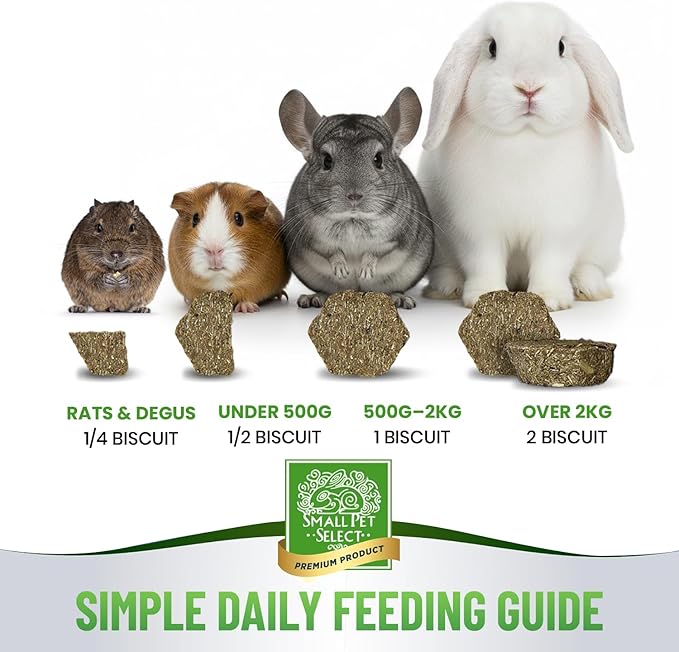 Small Pet Select - Select Care Multivitamin Support Supplement, Natural High Fiber Timothy Hay Based Treats for Rabbits, Guinea Pigs, Hamsters, Other Small Animals, 4.2 oz