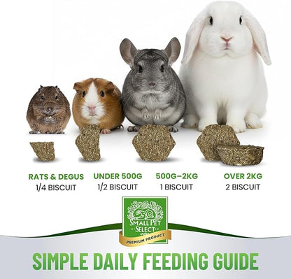 Small Pet Select - Select Care Multivitamin Support Supplement, Natural High Fiber Timothy Hay Based Treats for Rabbits, Guinea Pigs, Hamsters, Other Small Animals, 4.2 oz