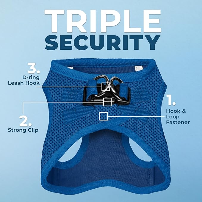 Voyager Step-in Air All Weather Mesh Harness and Reflective Dog 5 ft Leash Combo with Neoprene Handle, for Small, Medium and Large Breed Puppies by Best Pet Supplies - Set (Royal Blue), XS