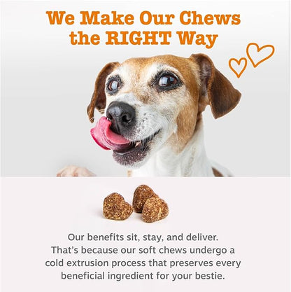 Zesty Paws Puppy Probiotics for Dogs - for Digestive Health, Gut Flora & Immune System Support - Dog Probiotics for Puppies with Bacillus subtilis & Pumpkin - 90 Count