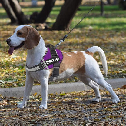 JSXD Dog Harness,No-Pull Service Dog Harness with Handle Adjustable Outdoor Pet Dog Vest 3M Reflective Nylon Material Vest for Breeds,Easy Control for Small Medium Large Dogs