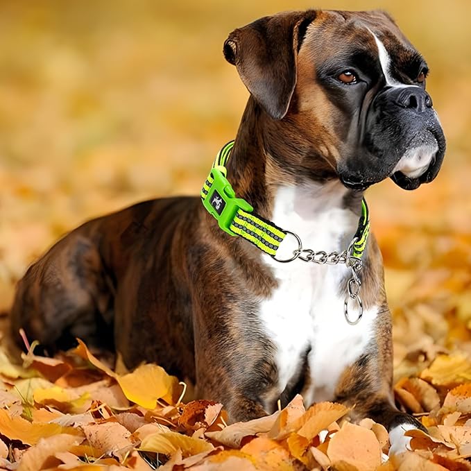 Green Reflective Martingale Dog Collar with Buckle- Night-Safe, Anti-Slip Training Collar Designed for Secure Walks - Large