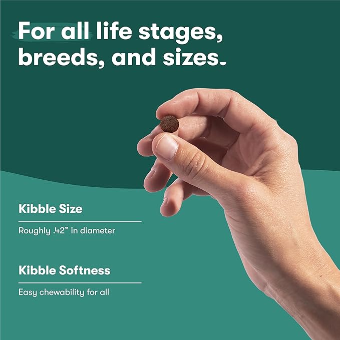 Jinx Premium Grain-Free Dry Dog Food, for All Lifestages - Real Chicken, Sweet Potato & Carrot Kibble with Superfoods for Immune Support & Probiotics for Digestive Support - No Fillers -30lb