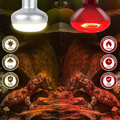 MISDOOD 100W Reptile Heat Lamp Bulb, Day & Night Basking Spot Light Combo Pack Includes Infrared Heat Lamp and UVA Daylight Heating Lamp Basking Light for Lizards, Turtles, Chicken，Bearded Dragons