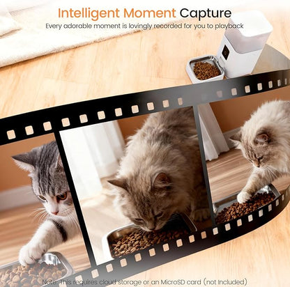 Joy Pebble Automatic Cat Feeder, 5G WiFi Automatic Dog Food Dispenser with Night Vision, 2-Way Audio for Cat & Dog, Low Food & Motion & Sound Alerts, Detachable for Easy Clean