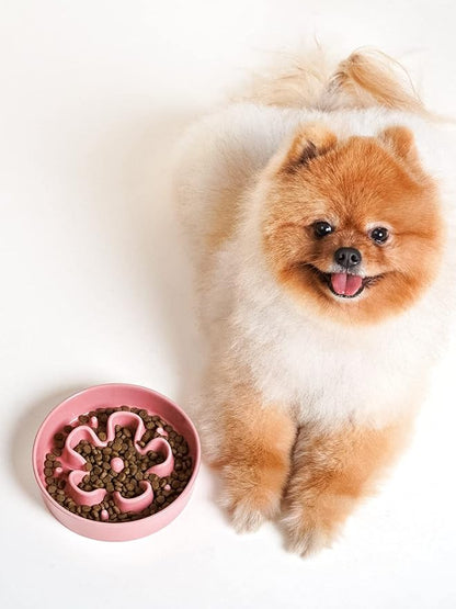 LE TAUCI Ceramic Slow Feeder Dog Bowls Small Breed, 0.6 Cups Dog Food Dish for Fast Eaters, Puzzle Bowl for Small Dogs and Cats,Pink Bloom