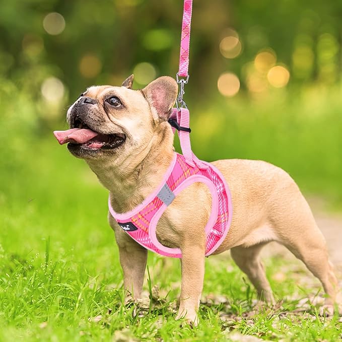 PUPTECK Dog Harness and Leash Set for Small Medium Dogs No Pull Step-in Soft Mesh Puppy Cat Vest Harnesses Reflective at Night, Plaid Pattern Pink M