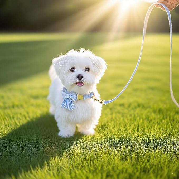 Dog Collar and Leash Set - Metal Buckle Adjustable Puppy Collar, Cute Dog Collar and Leash Set with Flower Bow Tie, Puppy Collar with 5 FT Leash, Soft & Comfortable Collar for Small Medium Dogs-M