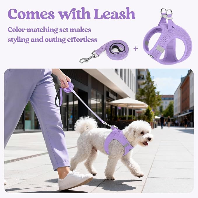 rabbitgoo Dog Harness Small Sized and Leash Set, Step in Soft Light Puppy Vest, Breathable Mesh Pet Harness, Reflective for Safe Easy Walking, Light Purple XS