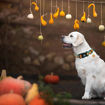 Elegant little tail Halloween Dog Collar, Pumpkin with Flower Print Blue Fall Pet Collars Cotton Soft Sturdy Puppy Collars Holiday Female Adjustable Collar for X-Small Puppy