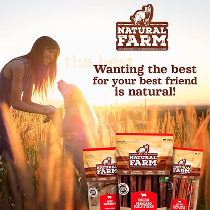 Natural Farm Odor-Free Braided Bully Sticks (6 Inch, 10 Pack) - 100% Grass-Fed Beef, Grain-Free, Low Fat & Fully Digestible Dental Treats - Safest Long Lasting Pizzle Chews to Keep Your Dog Busy