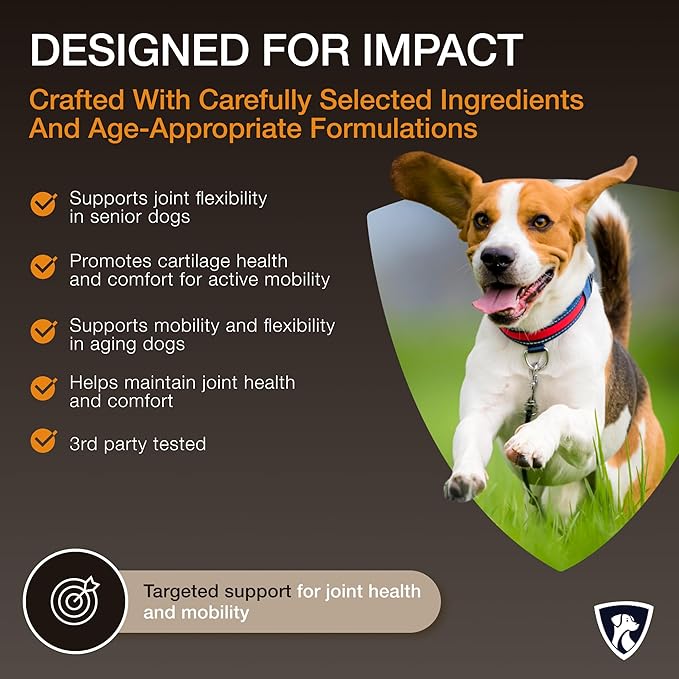 Select Senior Dog Joint Supplement 45 Servings | Natural Glucosamine Chondroitin for Dogs with Collagen | Hip and Joint Powder | 7.7 Oz
