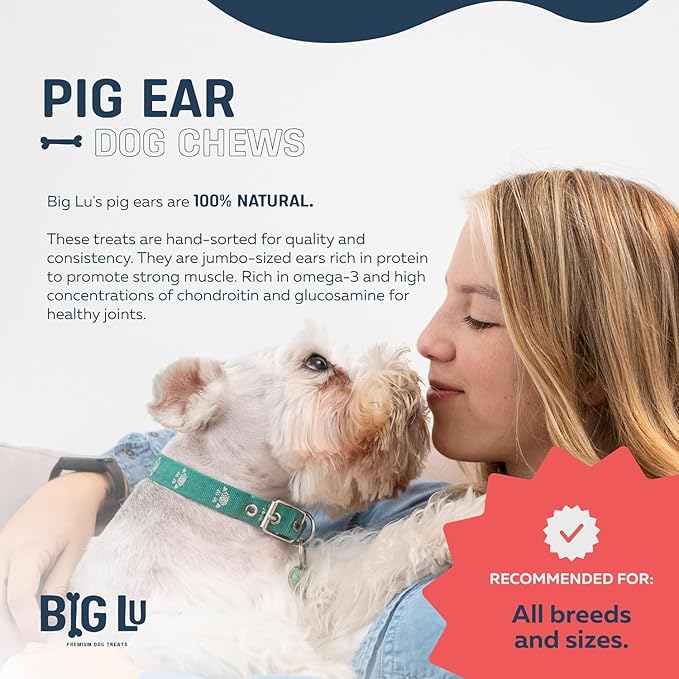 Big Lu – Whole Pig Ears for Dogs, Bulk 30 Count, All-Natural Single-Ingredient Pork Treats for Medium and Large Dogs, Easily Digestible, Supports Joint Health with Glucosamine and Chondroitin
