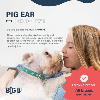 Big Lu – Whole Pig Ears for Dogs, Bulk 30 Count, All-Natural Single-Ingredient Pork Treats for Medium and Large Dogs, Easily Digestible, Supports Joint Health with Glucosamine and Chondroitin