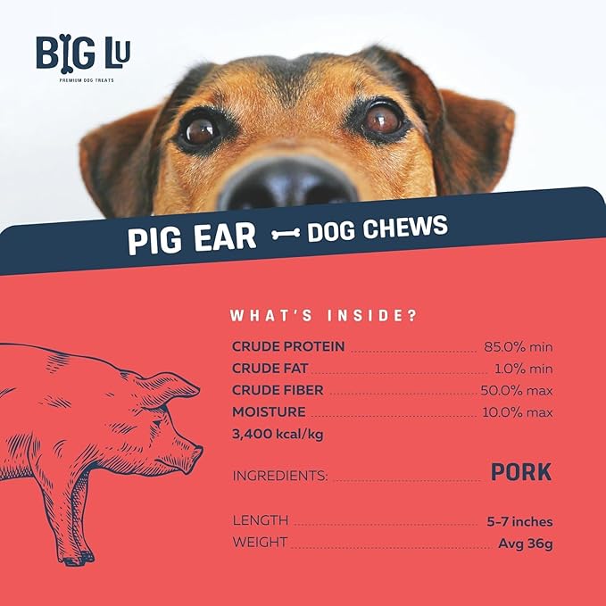 Big Lu – Whole Pig Ears for Dogs, Bulk 30 Count, All-Natural Single-Ingredient Pork Treats for Medium and Large Dogs, Easily Digestible, Supports Joint Health with Glucosamine and Chondroitin