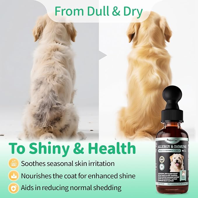 Allergy & Immune Supplement for Dogs - Omega 3-6-9 Liquid Drops for Seasonal Allergy Support, Skin Itch Relief, Less Shedding, Coat Health - with Biotin, Turmeric - Beef Flavor - 2 FL.OZ